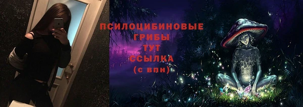 тгк Алзамай
