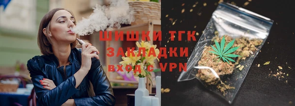 тгк Алзамай