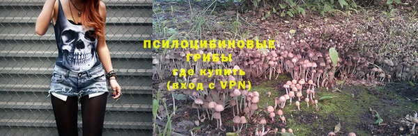 a pvp Алексеевка